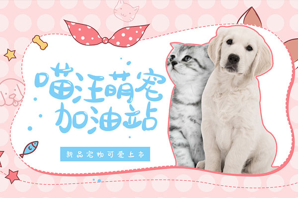 242866d07bbbfc558c5f856d48a85daf 胡晓波骚包体