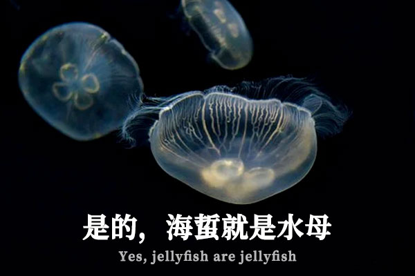 3910aea19edcf2cba10392168433af80 极影毁片辉宋