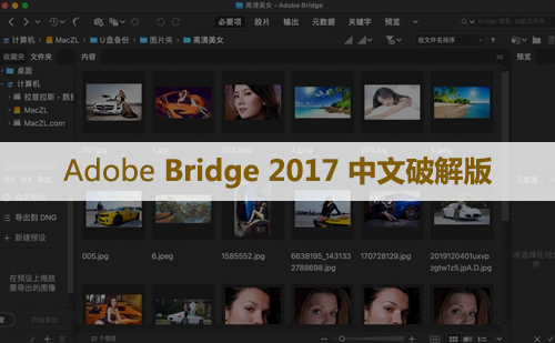 Adobe Bridge(Br)2017 软件安装包下载和安装教程