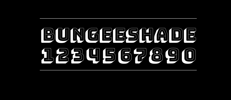 416c8bd74ba87d5bbc1d7f2a03bf3bcb Bungee Shade