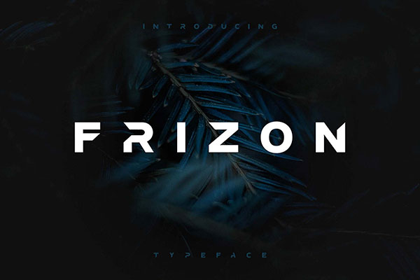 4a1ea91f8264401fd11801f8464c9bcb Frizon