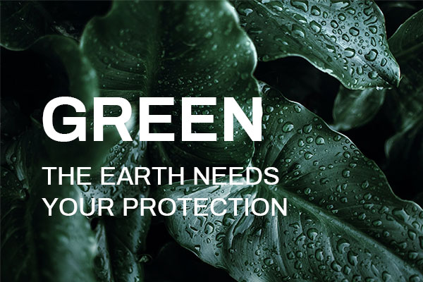 5f24a5f3b8d32305d6fd1c87d12d0b41 Archivo