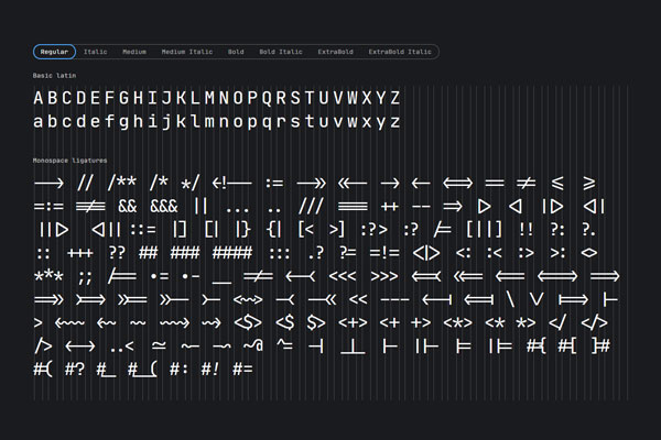 63b66941c4cadffc7604273fc7d46393 JetBrains Mono