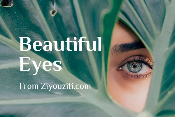 9cba8e0b6ef66e756dc73fb52791b457 Philosopher