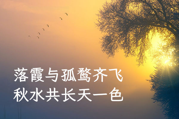 f1b2dd369240407d1e5f98111982312b 霞鹜臻楷