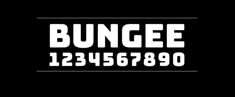 fb2115c89a95861dc5624e510aa9d8f1 Bungee