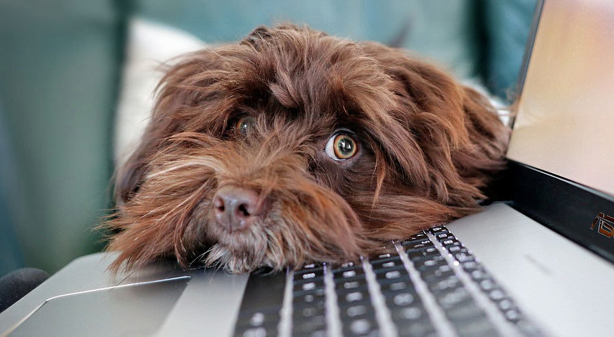 9812210b0fe162edf6eb9fe180a36f4a 分享几个在日常办公中非常实用的快捷键