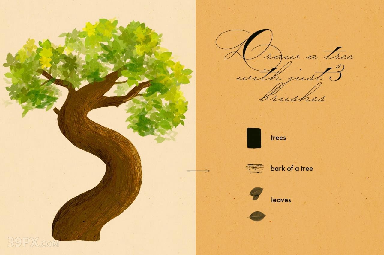 34 款Photoshop(PS笔刷) 植物画笔笔刷