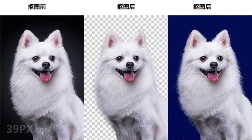 影楼一键抠图滤镜Topaz ReMask 5插件抠头发丝软件 中文win/mac