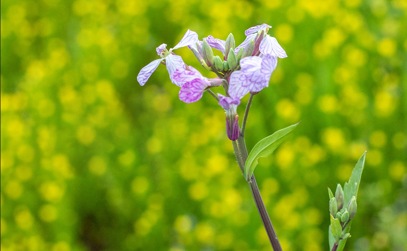 PS 秒去水印或其他对象：【内容识别】