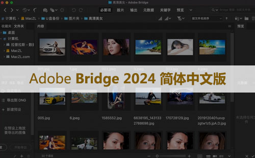 Adobe Bridge(Br)2024 软件安装包下载和安装教程