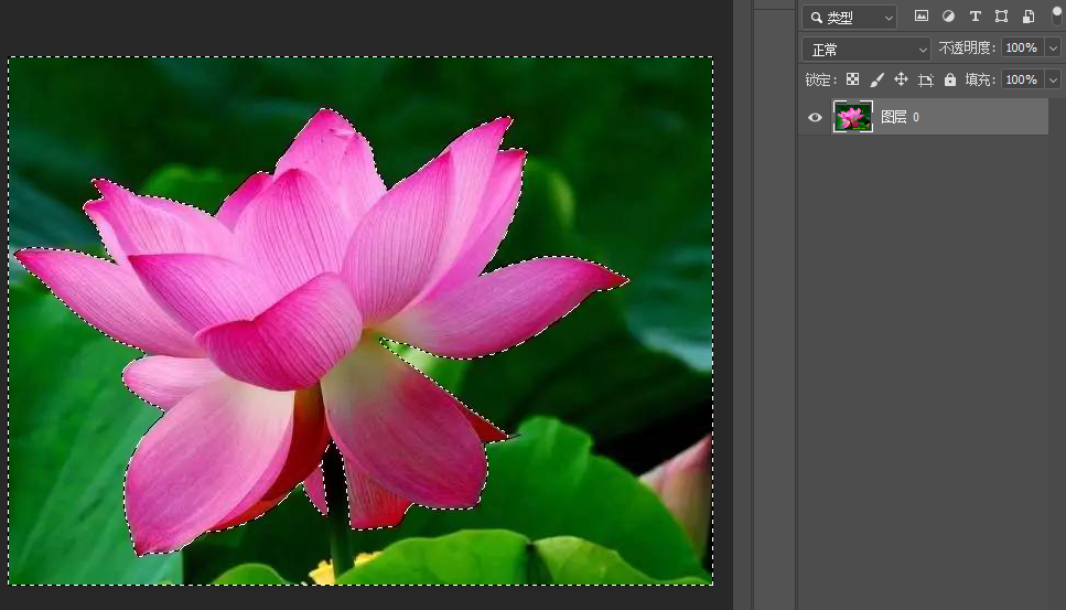 640-10 PS新功能"选择主体"秒抠图