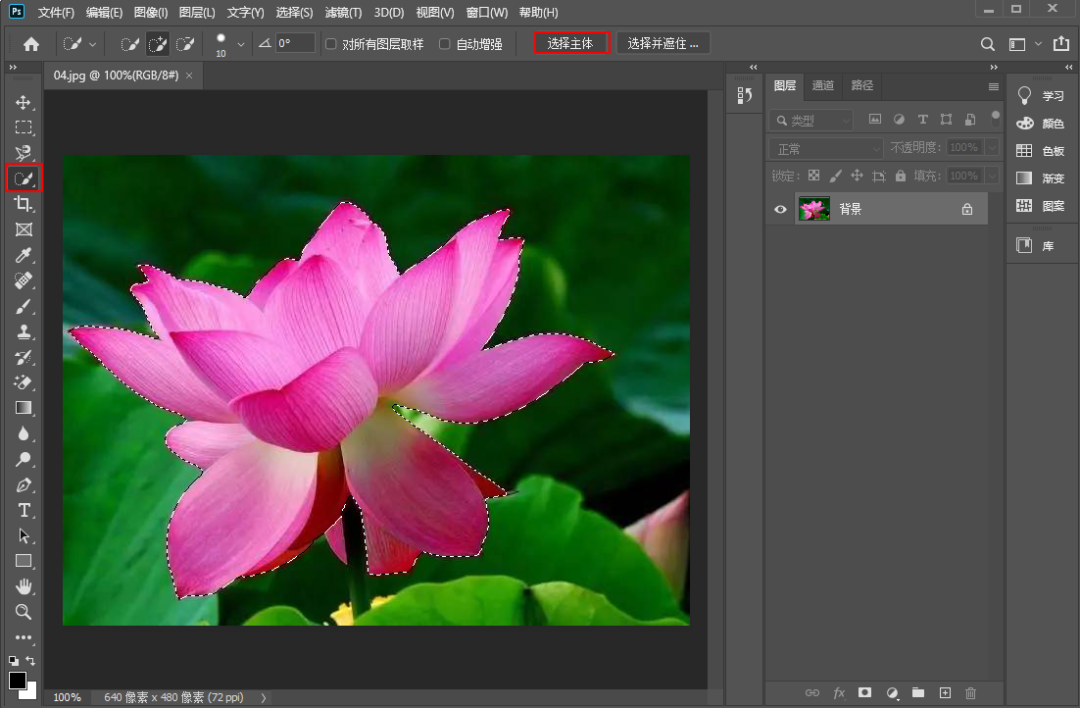 640-7 PS新功能"选择主体"秒抠图