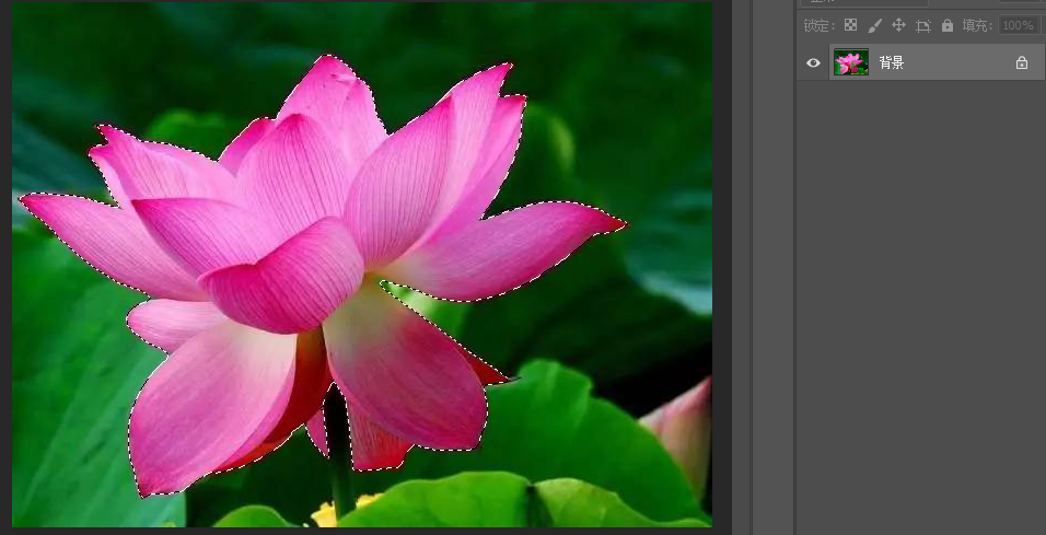 640-8 PS新功能"选择主体"秒抠图