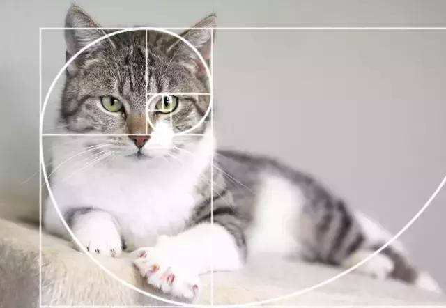 黄金分割在logo设计中的应用