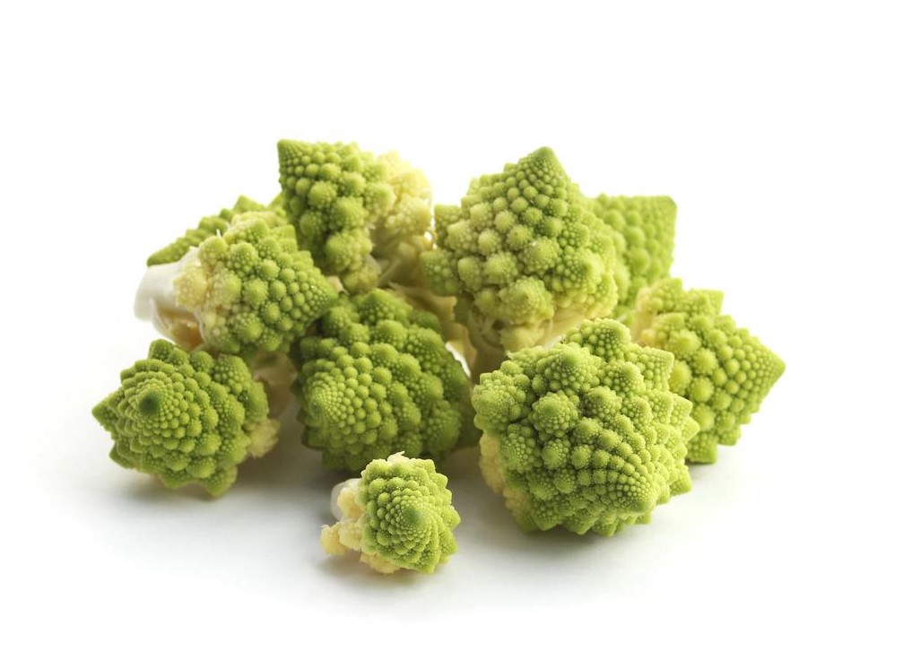 黄金分割在logo设计中的应用