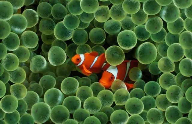 PS参考线/标尺小技巧