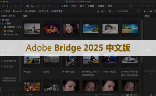 Adobe Bridge 2025 for Win v15.0(BR 2025) 软件安装包下载和安装教程