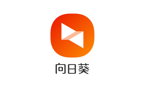 SunloginClient(向日葵) 远程控制软件下载及安装教程(官方版)