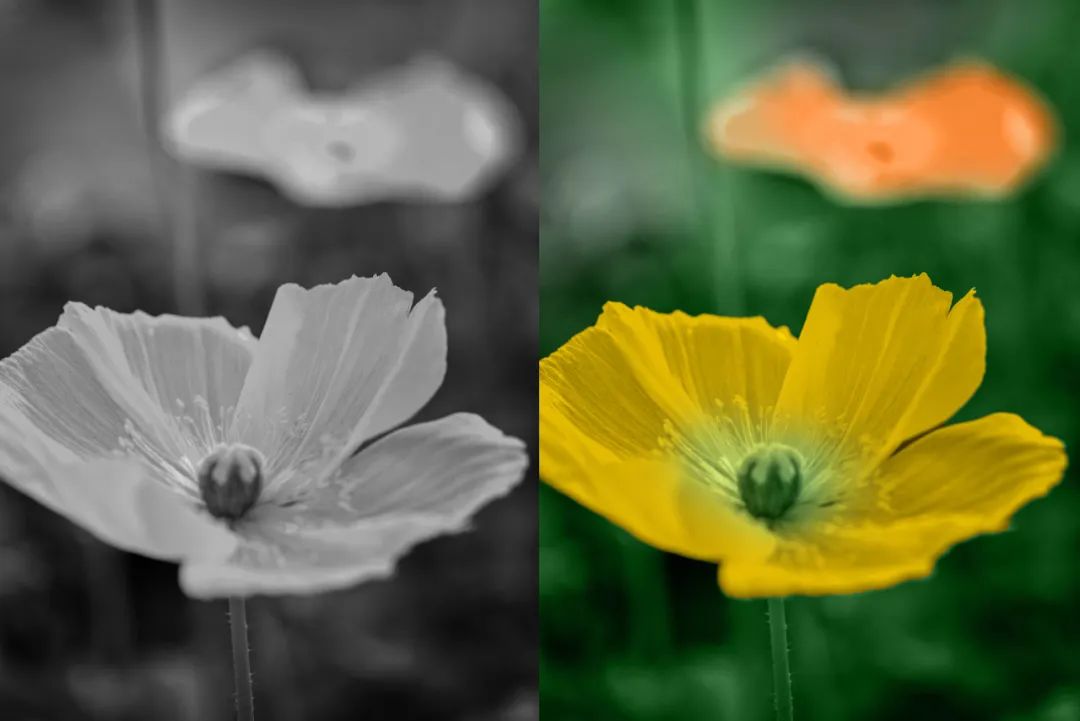 PS怎么把黑白照变成彩色？