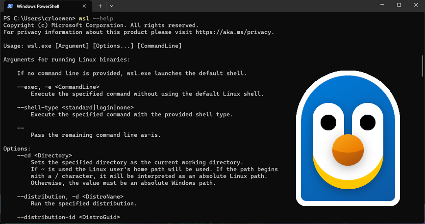 640-3 微软开源适用于 Linux 的 Windows 子系统