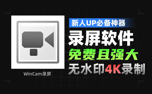WinCAM屏幕录像工具 v3.7.0中文破解单文件版