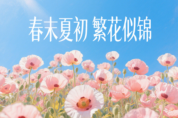 f35d91b9d1ff246290e4d703be3b63d7