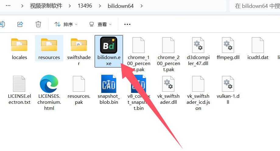 Bilibili视频下载工具-哔哩哔哩视频下载工具-v1.2.3(免装版)