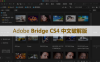 Adobe Bridge（Br）CS4 软件安装包下载和安装教程