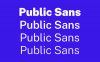 Public Sans