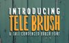 TeleBrush