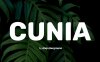 Cunia