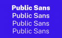 Public Sans