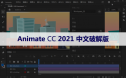 Adobe Animate（An）CC 2021 软件安装包下载和安装教程