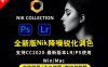 Nik Collection6.1 lr插件调色降噪锐化滤镜ps插件2023win/macM1