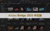 Adobe Bridge 2025 for Win v15.0(BR 2025) 软件安装包下载和安装教程