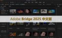 Adobe Bridge 2025 for Win v15.0(BR 2025) 软件安装包下载和安装教程