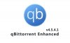 BT下载软件qBittorrent Enhanced v4.5.4.10绿色版